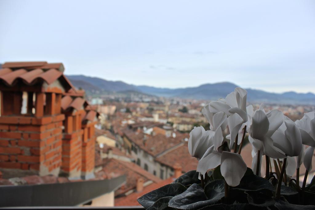 Casa Fontana Del Delfino Apartment *