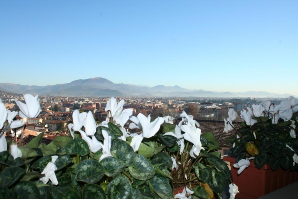 Casa Fontana Del Delfino Apartment